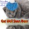 A Cute Get Well Card For You.