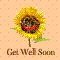 Smiling Sunflower...