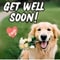 Get Well Soon Wish For Your Loved Ones.