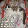 Get Well Soon Kitty.
