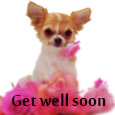 Puppy Wishes Get Well Soon.