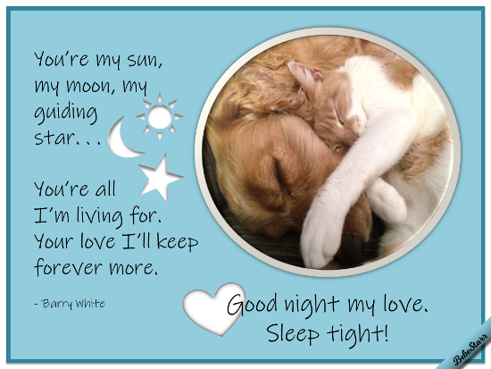 Good Night, Sleep Tight! Free Good Night eCards, Greeting Cards | 123