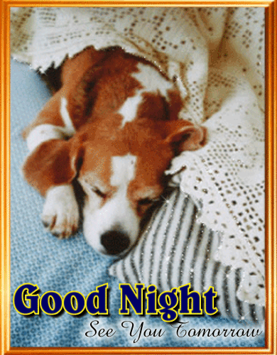 Good Night See You Tomorrow. Free Good Night eCards, Greeting Cards