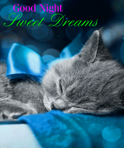 Sweet Dreams And Sleep Well...