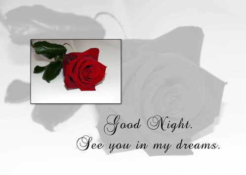Red Rose Dreams To Say Good Night.