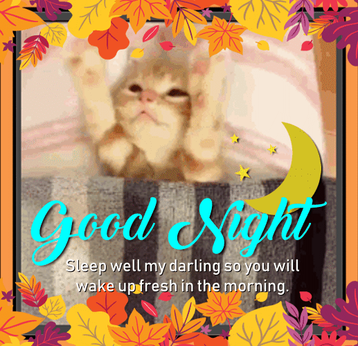 A Cute Night Message For You Free Good Night Ecards Greeting Cards