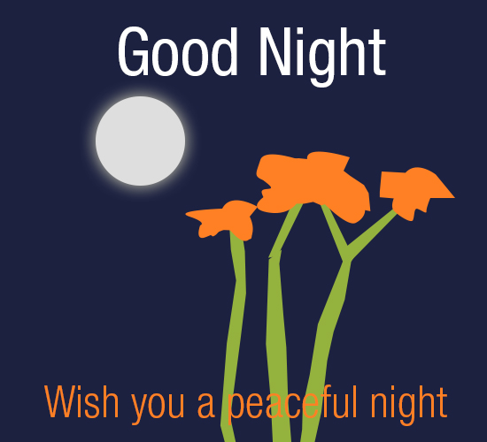 Good Night, Flowers