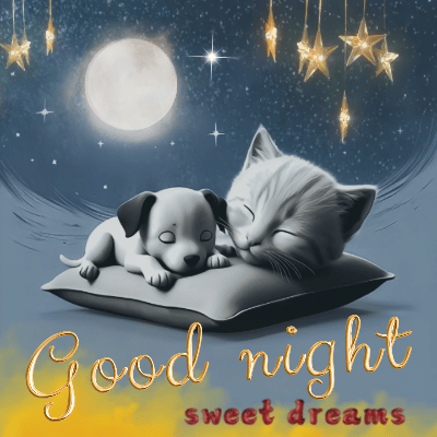 Sleep Tight And Dream Sweet.