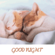 Good Night And Sleep Well Like...