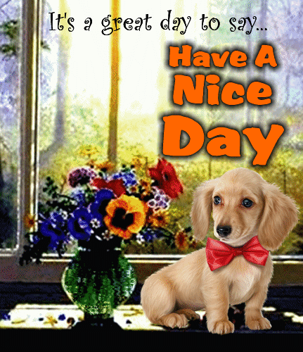 A Great Day To Say Have A Nice Day.