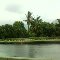 Enjoy The Nature.