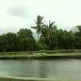 Enjoy The Nature.