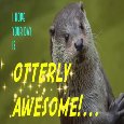Otterly Awesome Day!