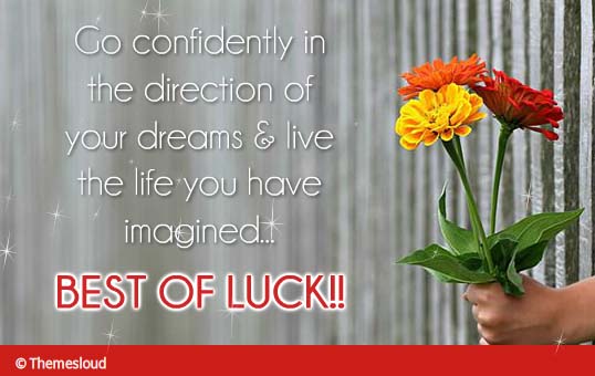 Best Of Luck For Your Future Ahead... Free Good Luck eCards | 123 Greetings