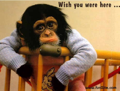 Lonely Without U... Wish U Were Here. Free Miss You eCards | 123 Greetings