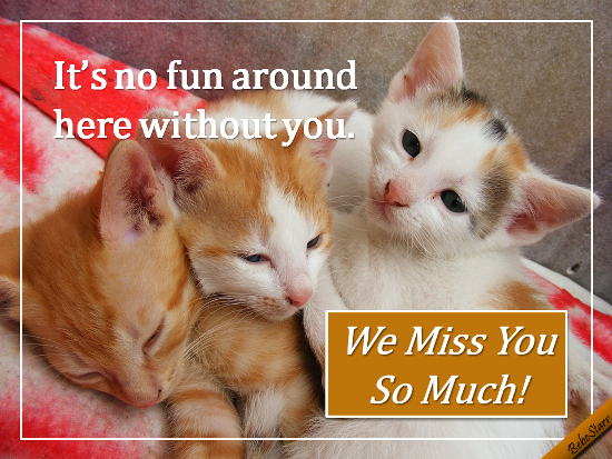 We Miss You. Free Miss You eCards, Greeting Cards | 123 Greetings