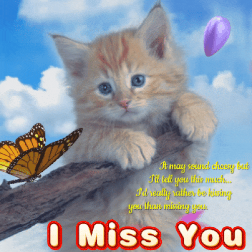 I Miss You Message Card.