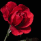 You Know I Love You...