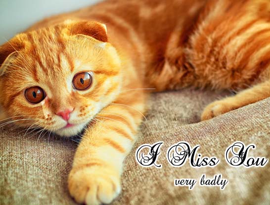 i-miss-you-very-badly-free-miss-you-ecards-greeting-cards-123-greetings