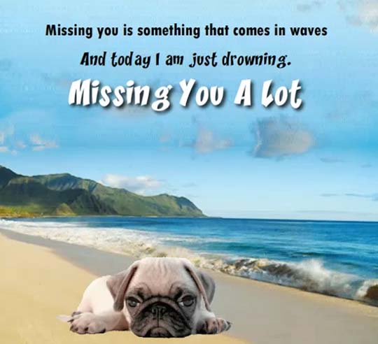 Am Missing You A Lot Free Miss You ECards Greeting Cards 123 Greetings