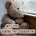 Miss You During This Quarantine!
