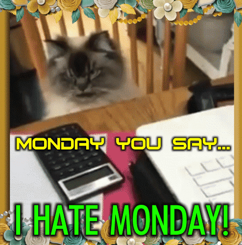 Monday You Say...