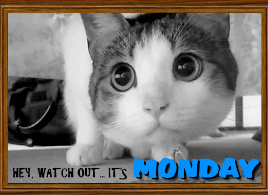 Watch Out... It’s Monday!