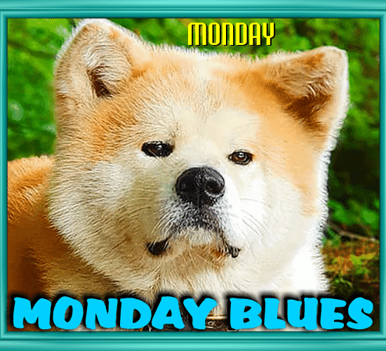 A Nice Monday Blues Greetings For You.