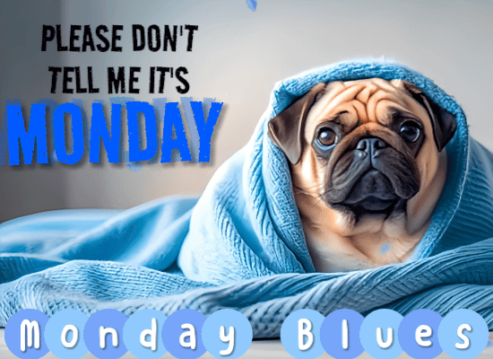 Don’t Tell Me It’s A Monday.