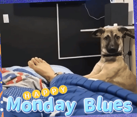 Stop Waking Me Up!