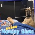 Stop Waking Me Up!