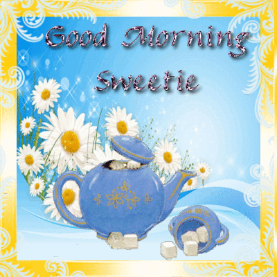 Good Morning Sweetie Kitty. Free Good Morning eCards, Greeting Cards