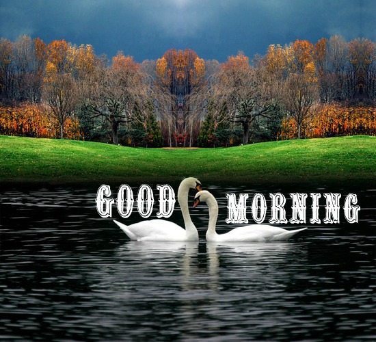 Best Of Nature’s Morning For You. Free Good Morning eCards | 123 Greetings