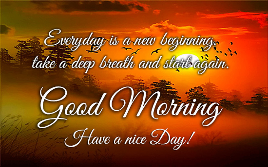 Good Morning My Dear! Free Good Morning eCards, Greeting ...