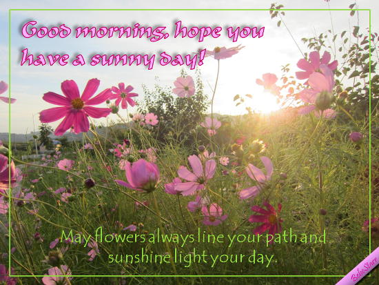 Have A Sunny Day!