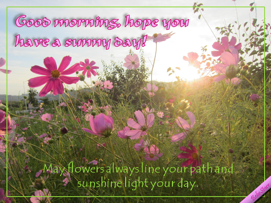 Have A Sunny Day! Free Good Morning eCards, Greeting Cards | 123 Greetings