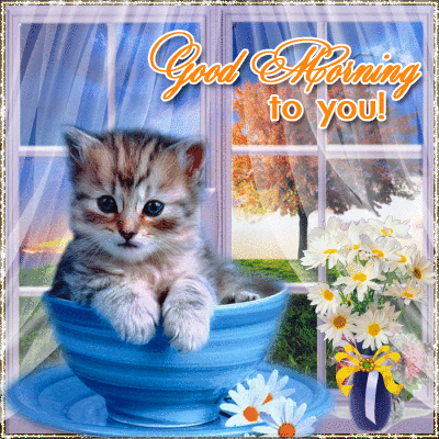 Good Morning To You Kitten!