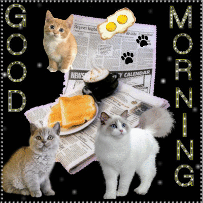 Good Morning Kittens.