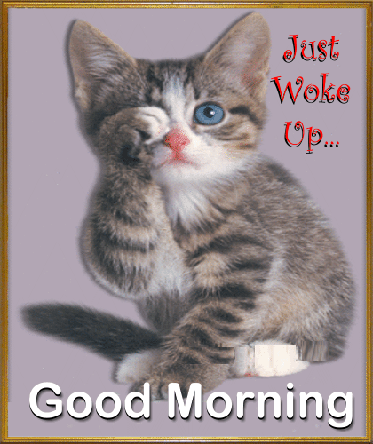 A Very Cute Morning Ecard. Free Good Morning eCards, Greeting Cards