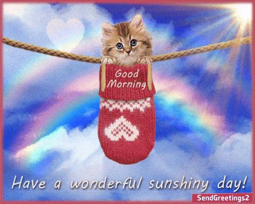 Have A Wonderful Sunshiny Day.