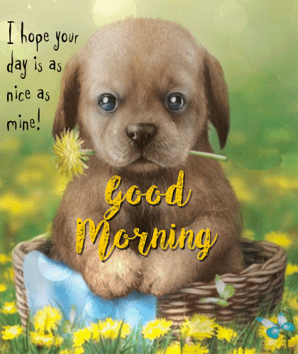 A Very Nice Morning Card Just For You. Free Good Morning ...