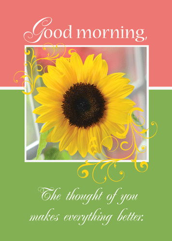 Sunflower Wishes To Say Good Morning! Free Good Morning eCards | 123