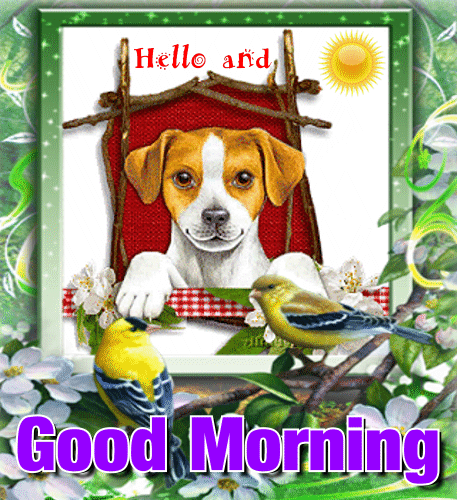 A Hello And Good Morning Card.