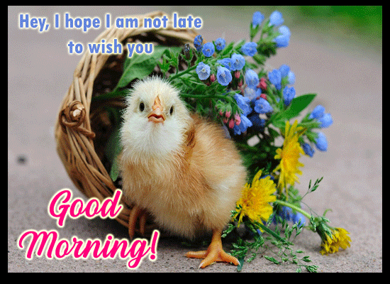 Hey, I’M Not Late... Free Good Morning eCards, Greeting Cards | 123