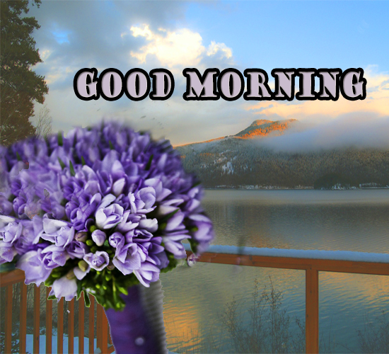 Good Morning With Flowers. Free Good Morning eCards, Greeting Cards