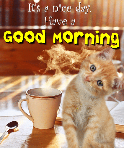 A Cute Morning Card Just For You.