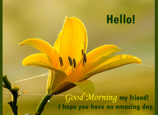 Have An Amazing Day! Free Good Morning eCards, Greeting Cards | 123