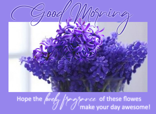 Awesome Good Morning Wishes Free Good Morning ECards Greeting Cards 