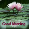Morning Is Beautiful.