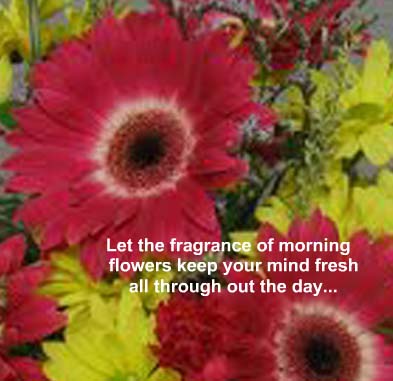 A Superb Morning Free Good Morning eCards, Greeting 